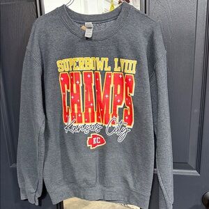 Gildan Charcoal Super Bowl LVIII Champs Hoodie